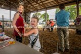 Sheep Show at Jersey County Fair