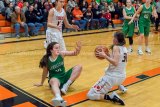 Lady Hawks Take Tigers Into Overtime For Win