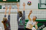 Brussels Volleyball Back To Winning After Short Slump