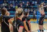 Jersey Volleyball Ends Season With 17-13 Record