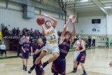 Birds Take Loss To Stallions