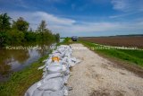 More Rain On The Way - Nutwood Levee Seeping And Soft But Still Intact