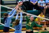 Volleyball Panthers Best Birds In Three Monday