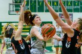 Miners Battle Birds For A Win At Piasa