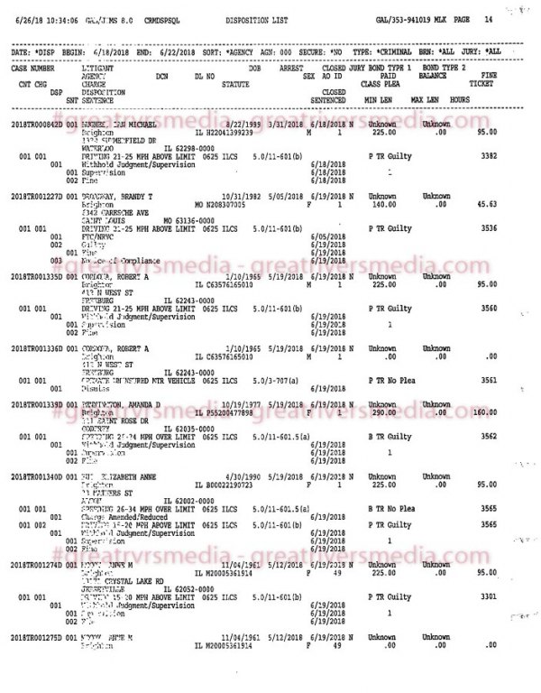 Jersey County Court Case Dispositions - June 18-22, 2018