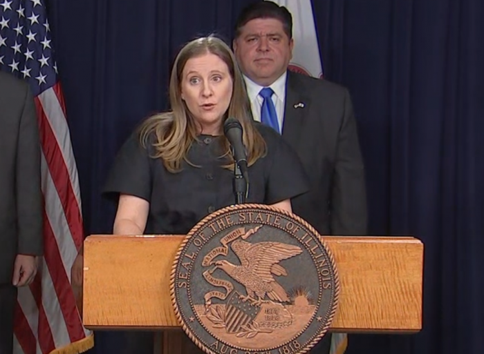 STAY AT HOME! Illinois Governor Orders Residents To Shelter In Place Chicago epidemiologist Dr. Emily Landon
