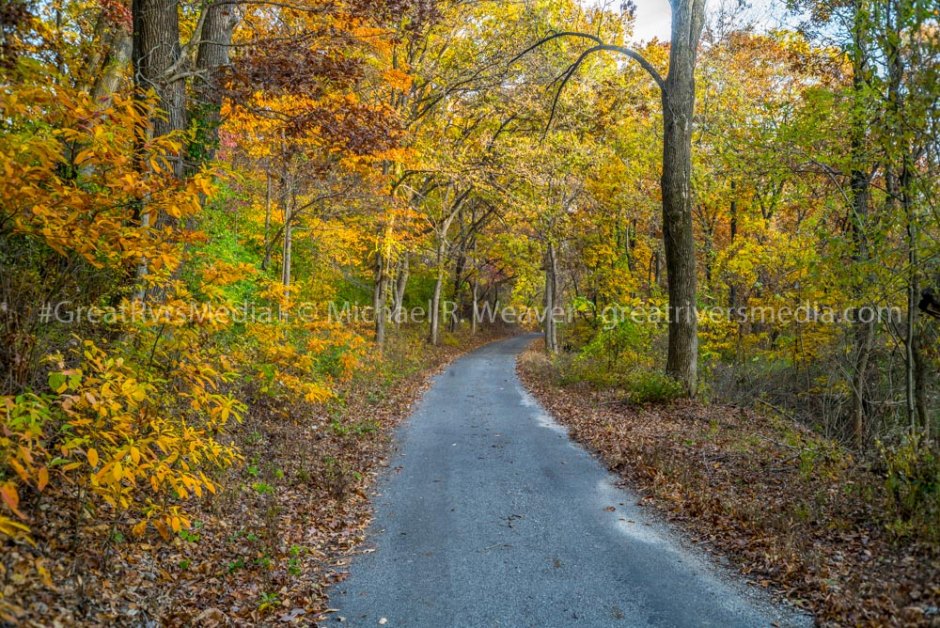 One of the many colorful tree lined roads that weave through the river bluff network