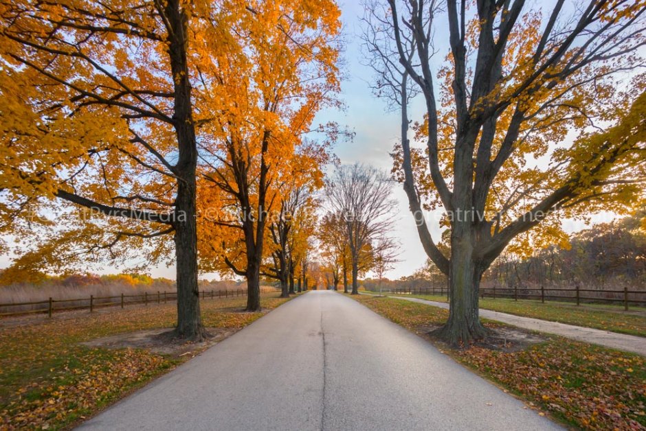 The road leading to the campus of Principia College in Elsah, IL.